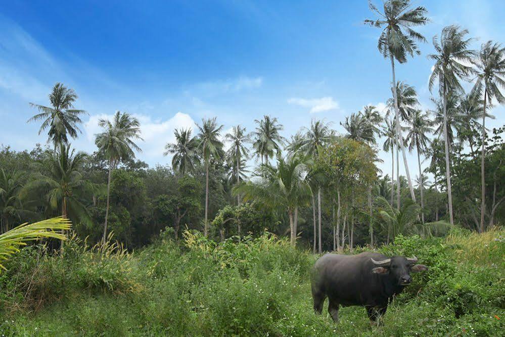 Hotel Samui Le Reve Na Mueang Zewnętrze zdjęcie