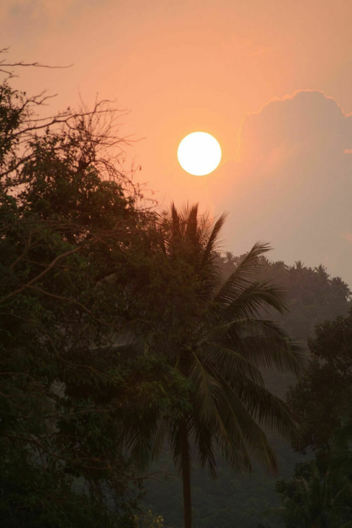Hotel Samui Le Reve Na Mueang Zewnętrze zdjęcie